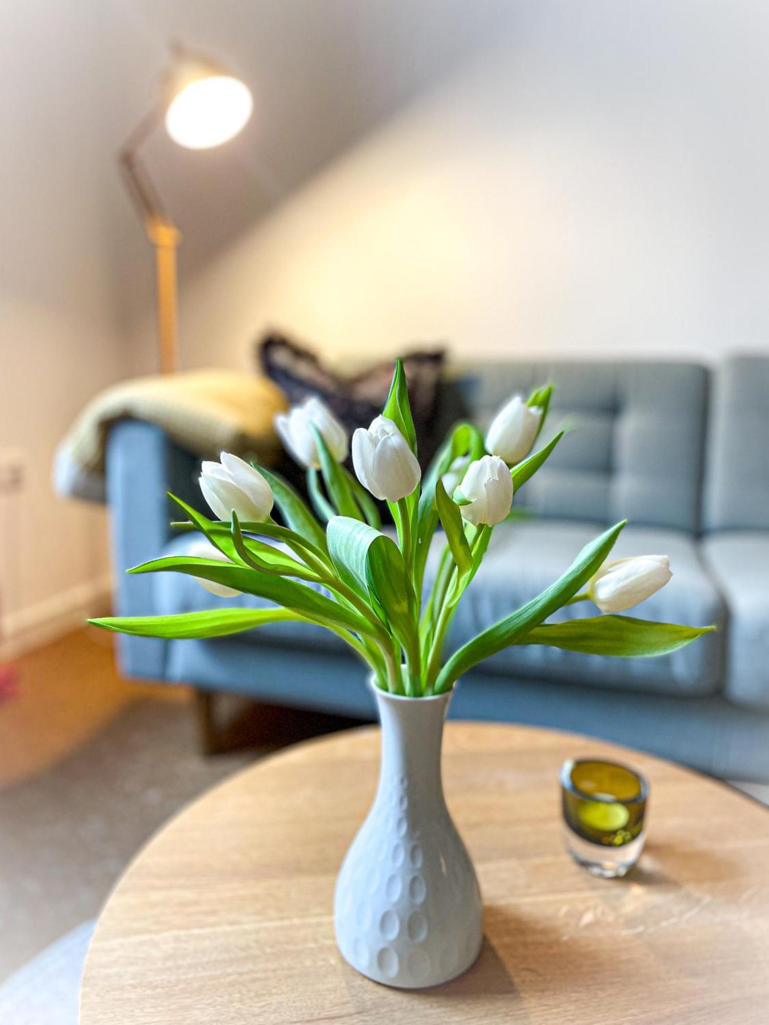 Apartments "Am Rheinorange", Netflix & Prime Duisburgo Esterno foto